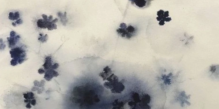 kitty OnlyFans | @stellakitty review (Leaks, Videos, Nudes)