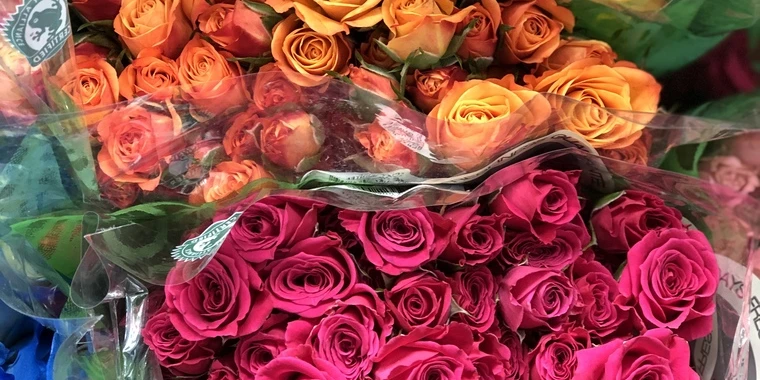 creator header picture