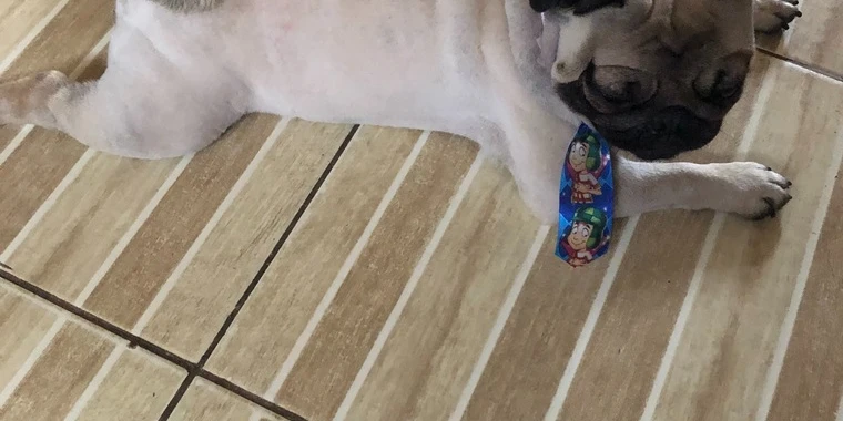 Tianeneia OnlyFans @tianeneia review (Leaks, Videos, Nudes)