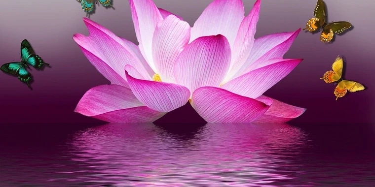 creator header picture