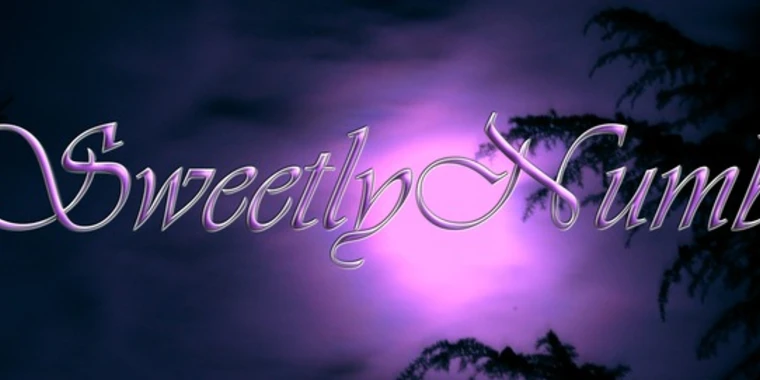 creator header picture