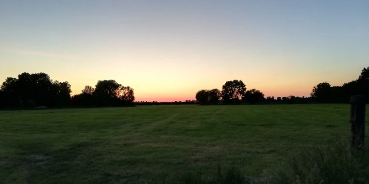 Xela OnlyFans | @xelalgtr review (Leaks, Videos, Nudes)