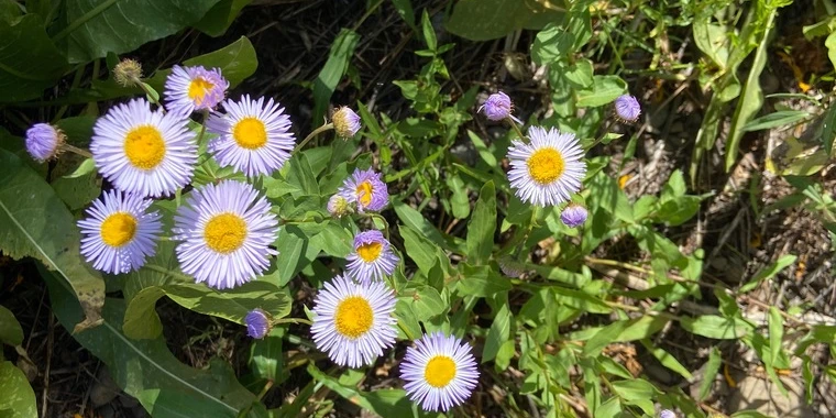 Xoxo OnlyFans @xoxokatt review (Leaks, Videos, Nudes)