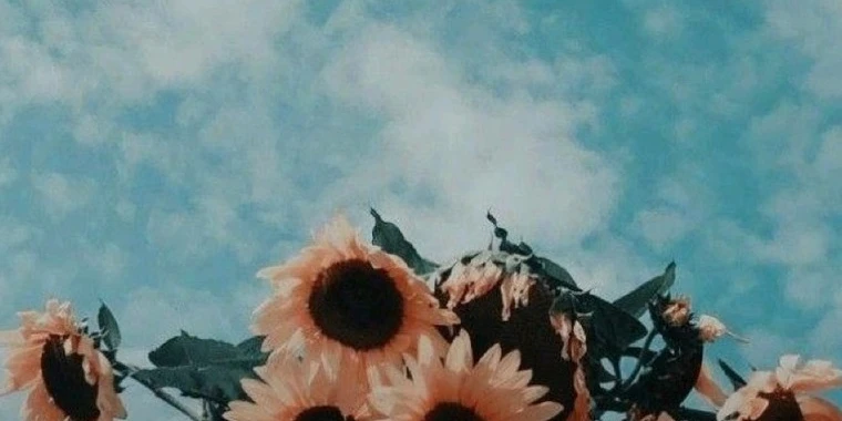 David OnlyFans | @yourstrulyfree review (Leaks, Videos, Nudes)