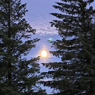 Alexander Bach OnlyFans @alexander_bach review (Leaks, Videos, Nudes)