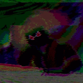 creator profile picture