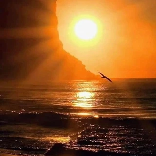 Bellezas Tropical OnlyFans @bellezastropical review (Leaks, Videos