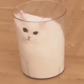 Claire CS OnlyFans | @claire-cs review (Leaks, Videos, Nudes)