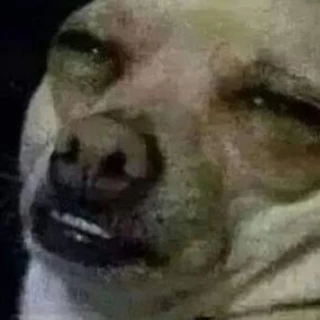 Corona_virus_ OnlyFans @corona_virus_ review (Leaks, Videos, Nudes)