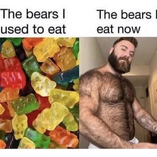 bearlovergaymer