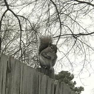 Jackson OnlyFans | @damnedmaniac review (Leaks, Videos, Nudes)