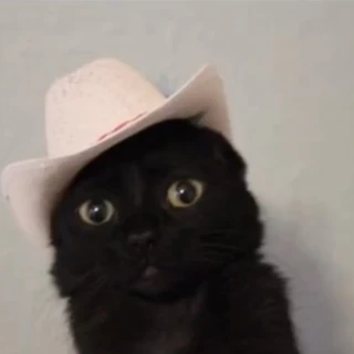 Delilah OnlyFans @delilahdreams review (Leaks, Videos, Nudes)