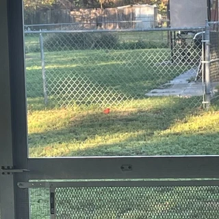 Delta OnlyFans | @deltadarling review (Leaks, Videos, Nudes)