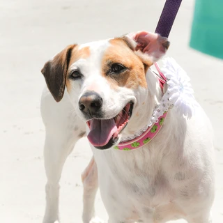 Top Shore OnlyFans @deltaphoto review (Leaks, Videos, Nudes)