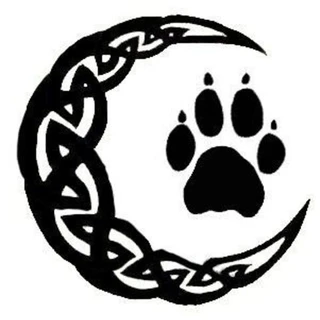 Elizabeth Daniels OnlyFans @elizabeth_daniels review (Leaks, Videos