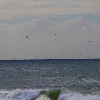 No OnlyFans | @facelessnipples review (Leaks, Videos, Nudes)