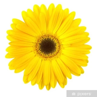 Toes and Hoes OnlyFans | @fockingfeet review (Leaks, Videos, Nudes)