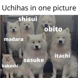 Ellee OnlyFans | @galellee review (Leaks, Videos, Nudes)