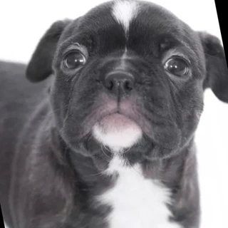 Ghost OnlyFans | @ghostreject review (Leaks, Videos, Nudes)