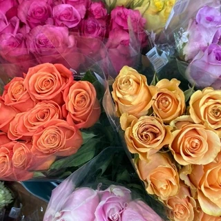 Brownie Ala Mode OnlyFans | @goldenlgbt review (Leaks, Videos, Nudes)