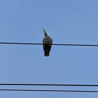 hazelbaby OnlyFans @hazel-baby review (Leaks, Videos, Nudes)