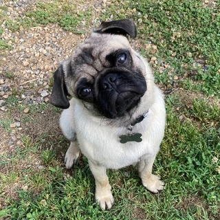 hisreverie OnlyFans | @hisreverie review (Leaks, Videos, Nudes)