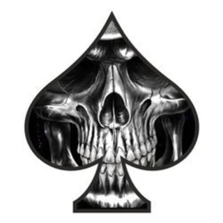 creator profile picture