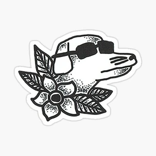 creator profile picture