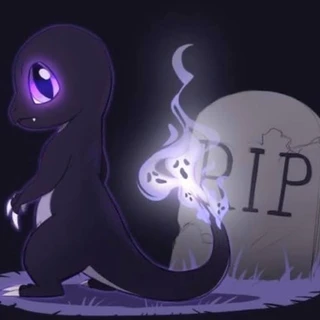 creator profile picture