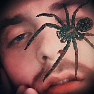 creator profile picture