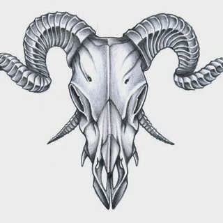 creator profile picture