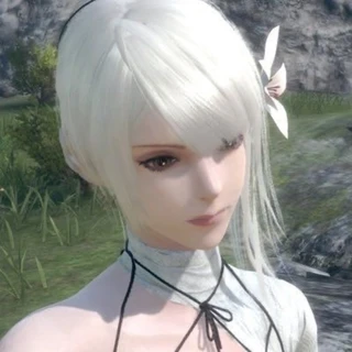 creator profile picture