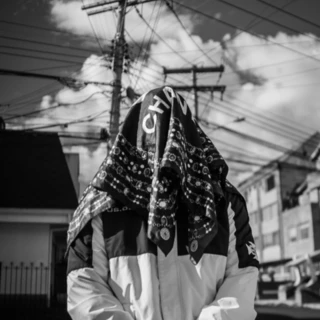 creator profile picture