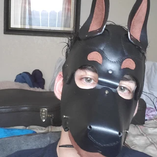 creator profile picture