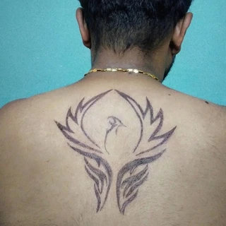 creator profile picture
