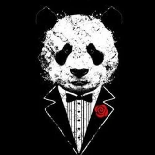 creator profile picture
