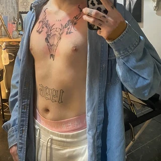 creator profile picture