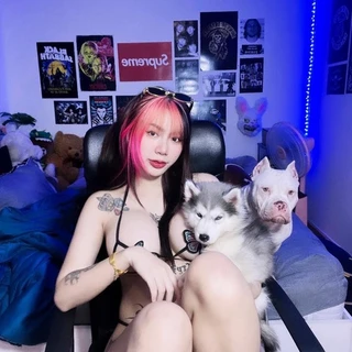 creator profile picture