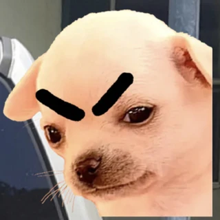 creator profile picture