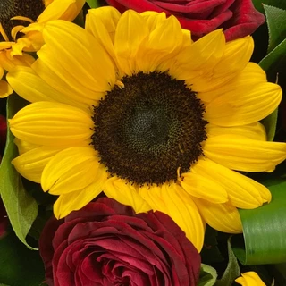 Iris may OnlyFans @iris-may review (Leaks, Videos, Nudes)