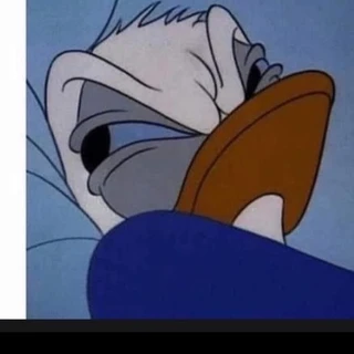 creator profile picture