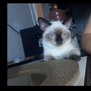 Katty bravo OnlyFans | @isaac1414 review (Leaks, Videos, Nudes)