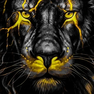 creator profile picture