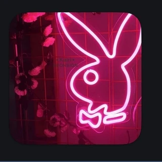 creator profile picture