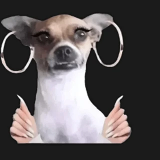 creator profile picture