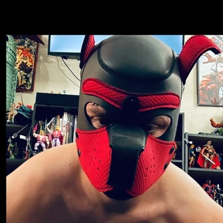 creator profile picture