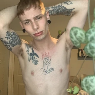 creator profile picture
