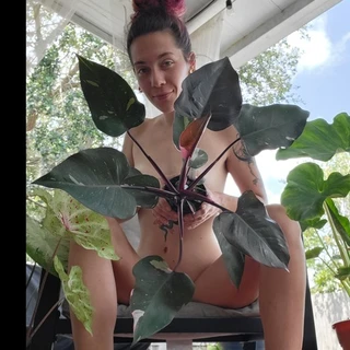 creator profile picture