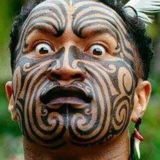 creator profile picture