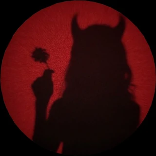 creator profile picture